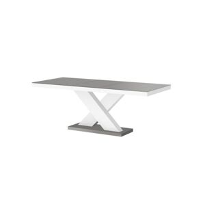 HUBERTUS Konferenčný stolík XENON MINI MAT Farba: sivá