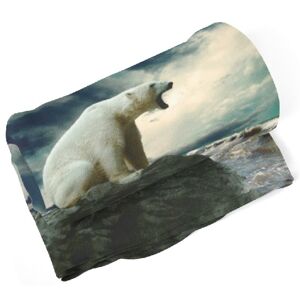 Deka Ľadový medveď  (Rozmer: 200 x 140 cm)