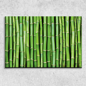Foto na plátne Bambus 90x60 cm
