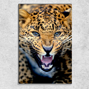 Foto na plátne Gepardí rev 90x60 cm