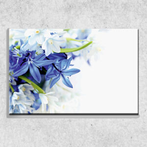 Foto na plátne Modré a biele kvety 90x60 cm