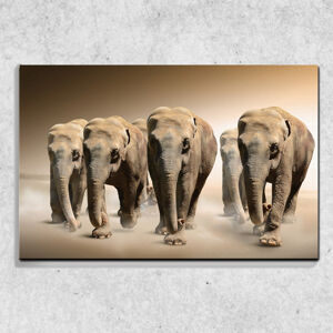 Foto na plátne Stádo slonov 90x60 cm