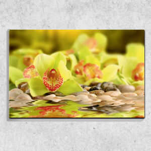 Foto na plátne Zelená orchidea 90x60 cm
