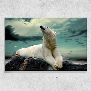 Foto na plátne Zimné medved 90x60 cm
