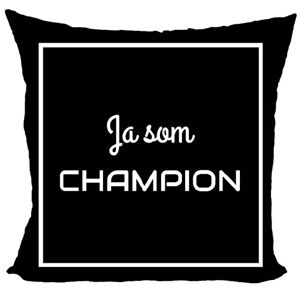 Vankúš Ja som Champion (Veľkosť: 55 x 55 cm)