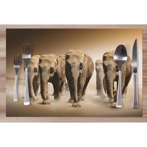 Prestieranie Stádo slonov