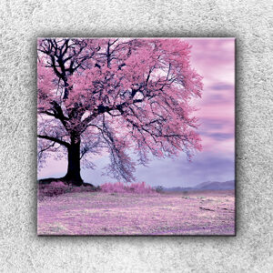 Foto na plátne Ružový strom 3 70x70 cm