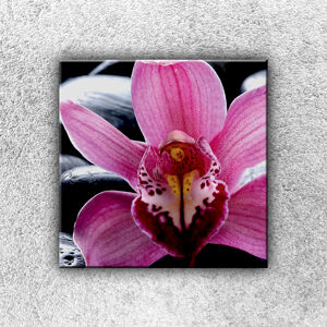 Foto na plátno Fialková orchidea 1 30x30 cm