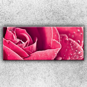 Foto na plátno Ružová ruža 2 120x50 cm