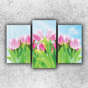Foto na plátne Pole tulipánov 75x50 cm
