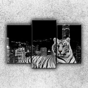 Foto na plátne Mestský tiger 75x50 cm
