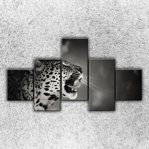Foto na plátno Rev geparda 2 125x70 cm
