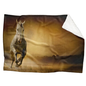 Deka Kôň v poli  (Rozmer: 150 x 120 cm, Podšitie baránkom: ÁNO)