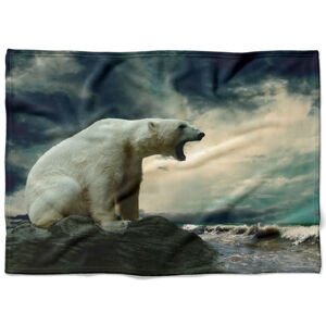 Deka Ľadový medveď  (Rozmer: 200 x 140 cm, Podšitie baránkom: NE)