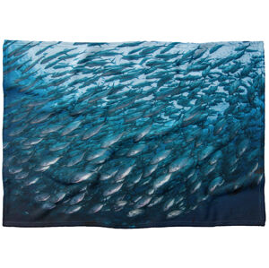 Deka Hejno rýb  (Rozmer: 150 x 120 cm, Podšitie baránkom: NE)