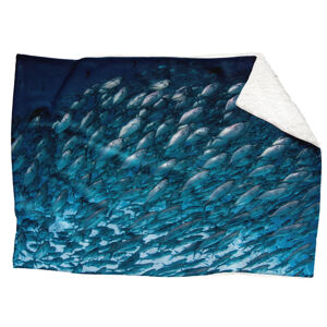 Deka Hejno rýb  (Rozmer: 150 x 120 cm, Podšitie baránkom: ÁNO)