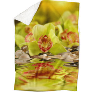 Deka Zelená orchidea (Rozmer: 200 x 140 cm, Podšitie baránkom: ÁNO)