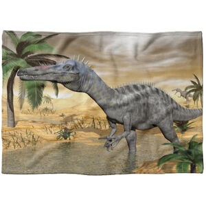 Deka Dinosaurus  (Rozmer: 150 x 120 cm, Podšitie baránkom: NE)